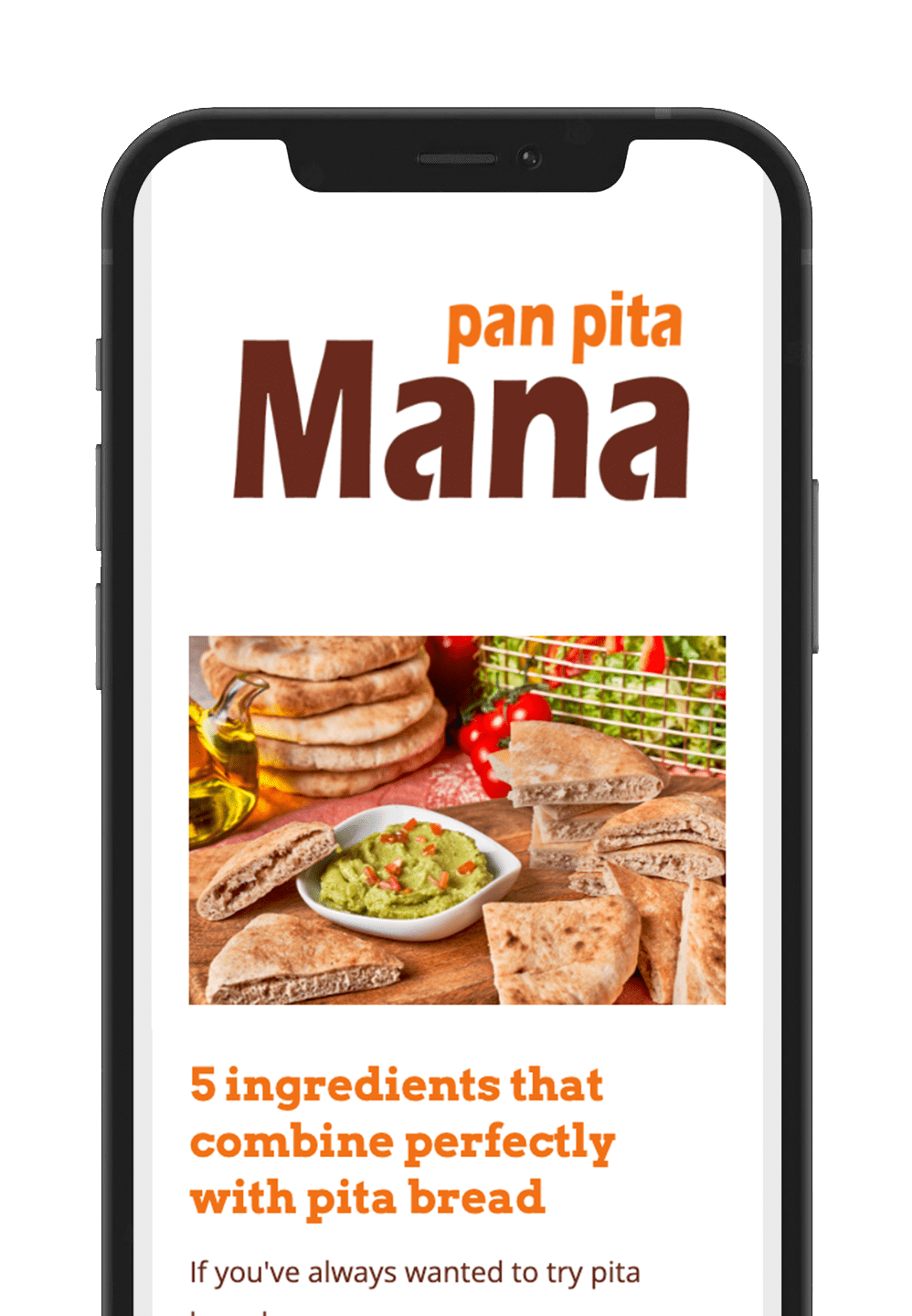 Newsletter Mana Pan Pita